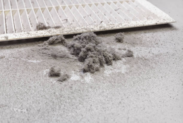 Best Affordable HVAC Duct Cleaning  in Crowley Lake, CA