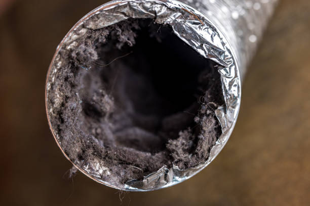 Best HVAC Duct Inspection Services  in Crowley Lake, CA