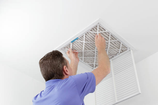 Best Air Vent Cleaning Services  in Crowley Lake, CA